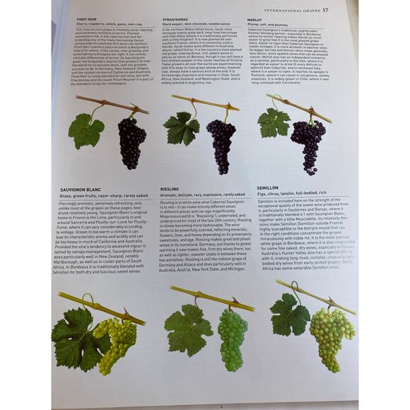 The World Atlas of Wine 7th Edition Hugh Johnson Jancis Robinson Table Book - Picture 6 of 11